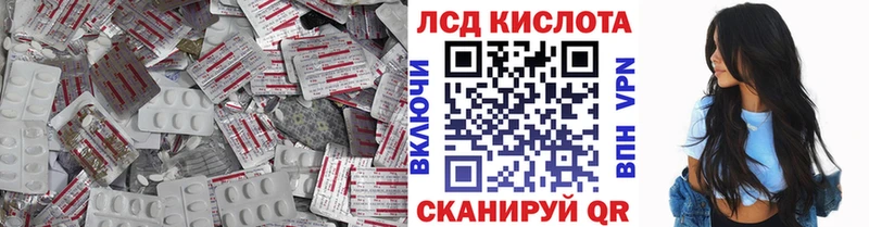 хочу   Тара  блэк спрут вход  Лсд 25 экстази кислота 