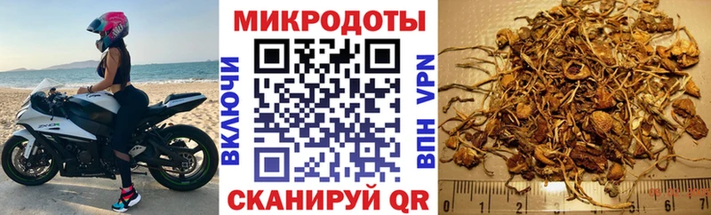Псилоцибиновые грибы прущие грибы  Тара 